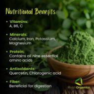 Moringa Powder - Herbal Superfoods - Image 2